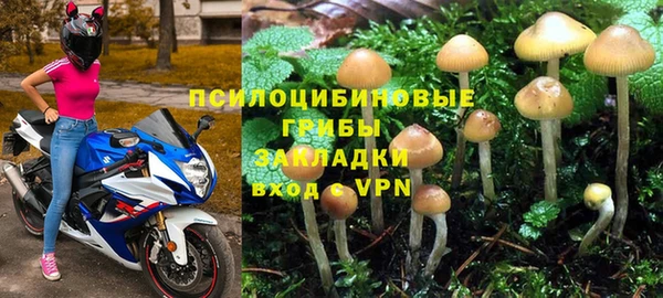 spice Вязники