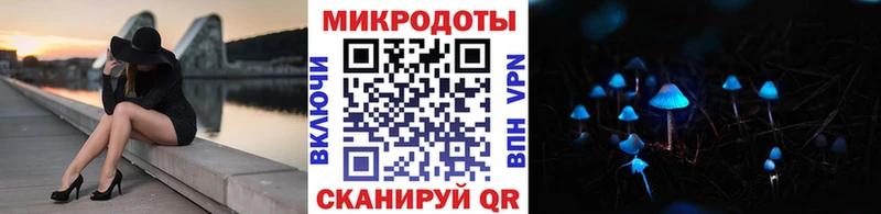 Галлюциногенные грибы Psilocybe  Купить где  Емва 